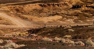 德扑里的“执行力鸿沟”：知道≠做到（德扑中的“知行落差”：懂得不等于践行）